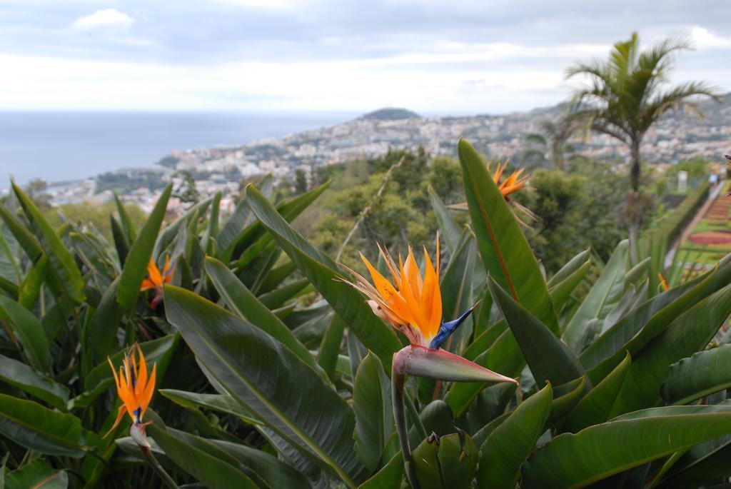 Hotel Pico Da Urze - Paul Da Serra Calheta  Exterior foto